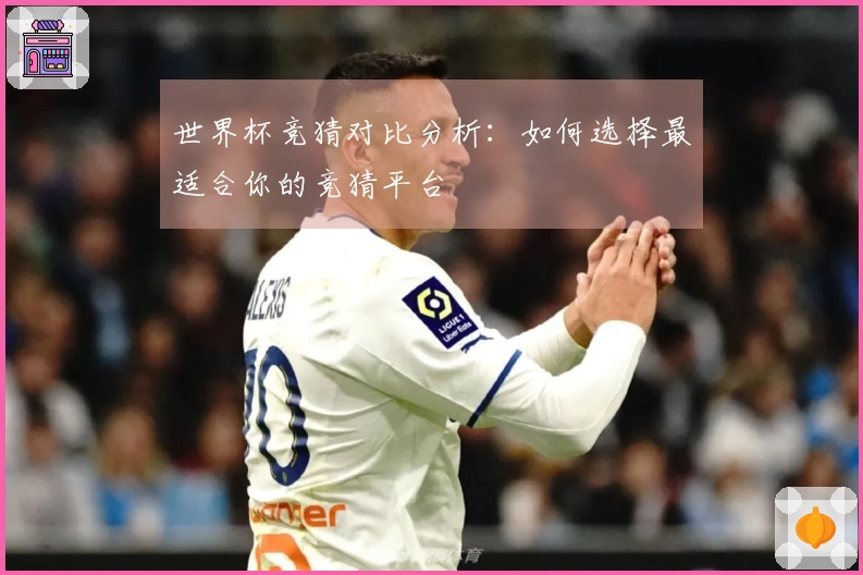 世界杯竞猜对比分析：如何选择最适合你的竞猜平台
