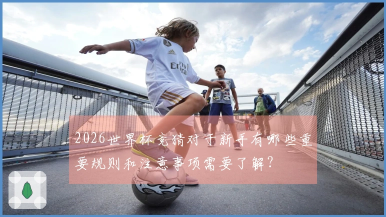 2026世界杯竞猜对于新手有哪些重要规则和注意事项需要了解？
