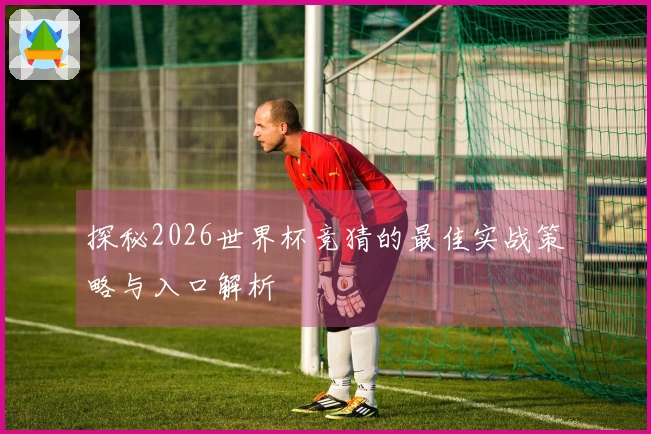 探秘2026世界杯竞猜的最佳实战策略与入口解析