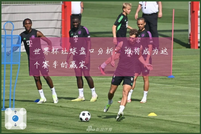 世界杯让球盘口分析：谁将成为这个赛季的赢家