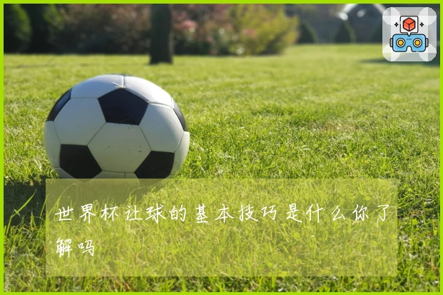 世界杯让球的基本技巧是什么你了解吗