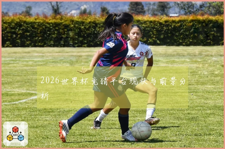 2026世界杯竞猜平台现状与前景分析