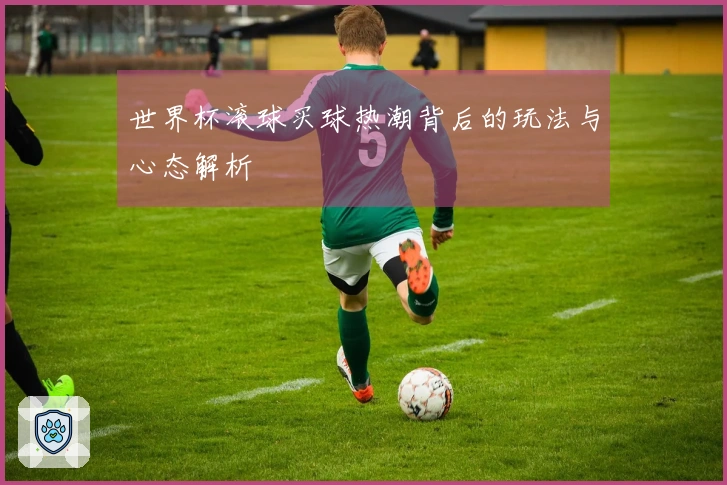 世界杯滚球买球热潮背后的玩法与心态解析