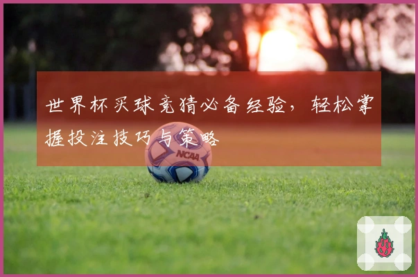 世界杯买球竞猜必备经验，轻松掌握投注技巧与策略
