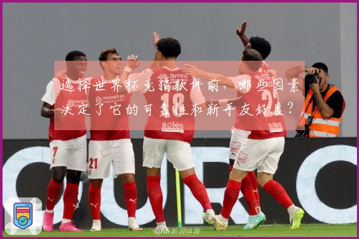 选择世界杯竞猜软件前，哪些因素决定了它的可靠性和新手友好度？