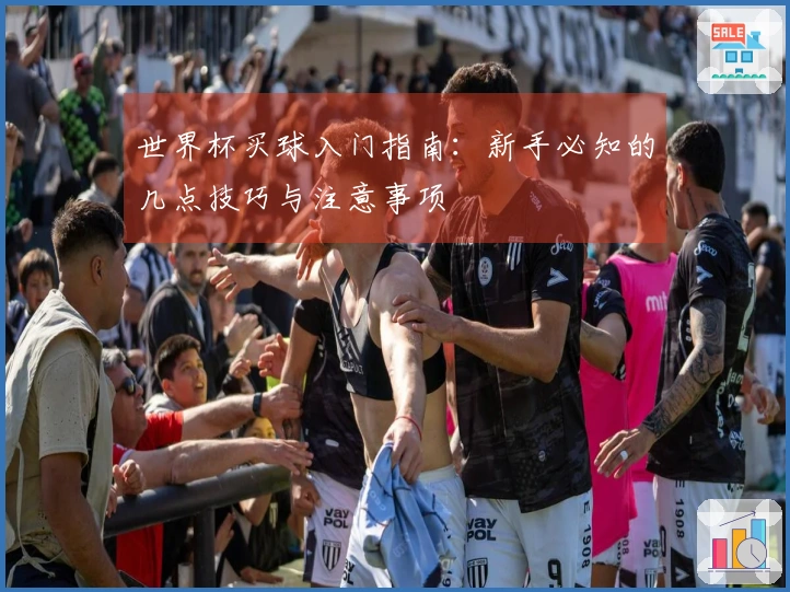 世界杯买球入门指南：新手必知的几点技巧与注意事项