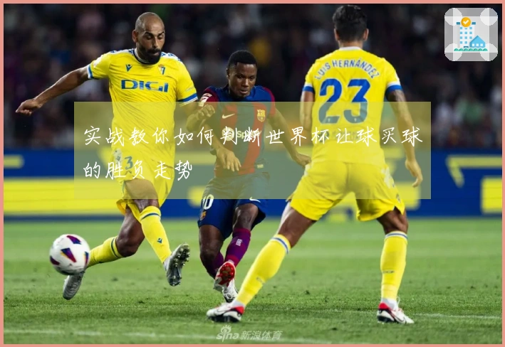 实战教你如何判断世界杯让球买球的胜负走势