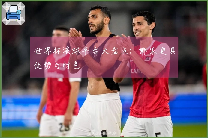 世界杯滚球平台大盘点：哪家更具优势与特色