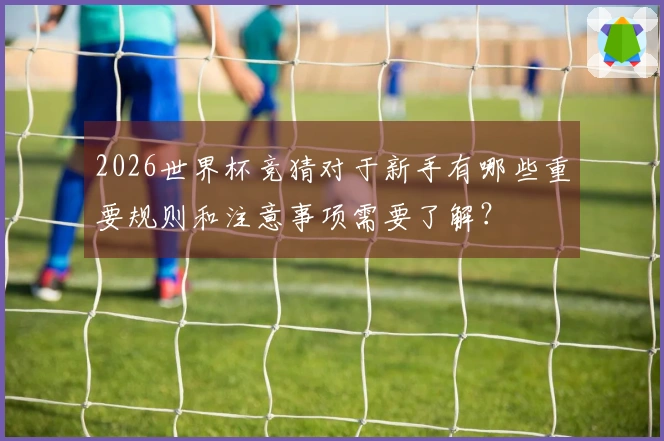 2026世界杯竞猜对于新手有哪些重要规则和注意事项需要了解？
