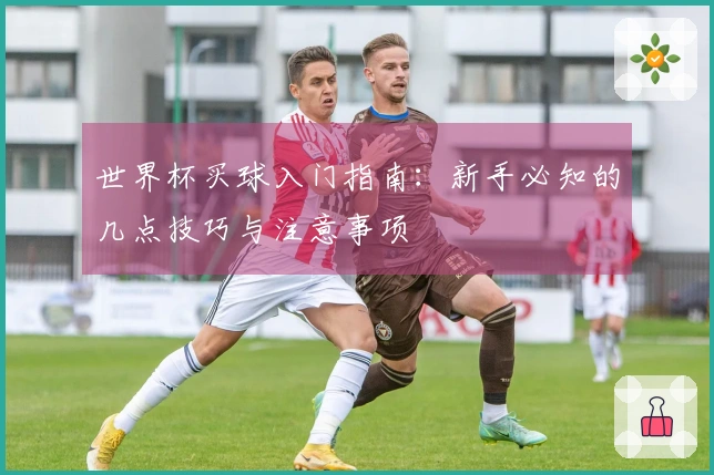世界杯买球入门指南：新手必知的几点技巧与注意事项