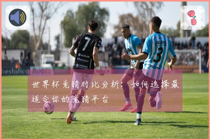 世界杯竞猜对比分析：如何选择最适合你的竞猜平台