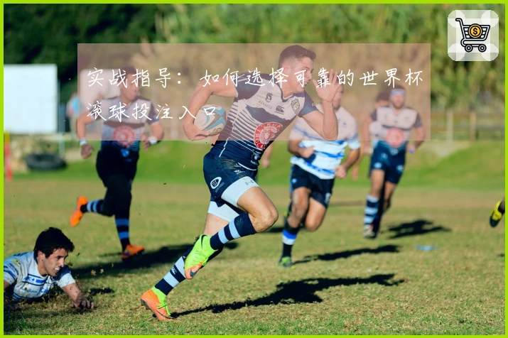 实战指导：如何选择可靠的世界杯滚球投注入口