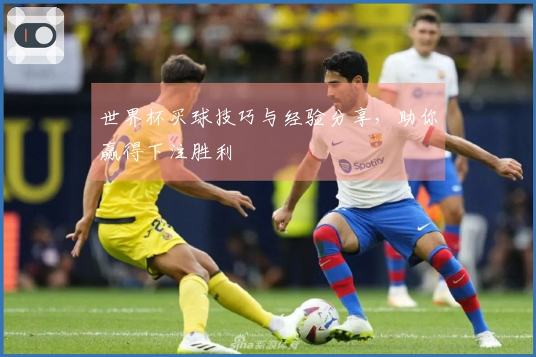 世界杯买球技巧与经验分享，助你赢得下注胜利