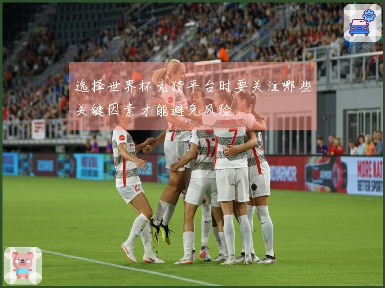 选择世界杯竞猜平台时要关注哪些关键因素才能避免风险