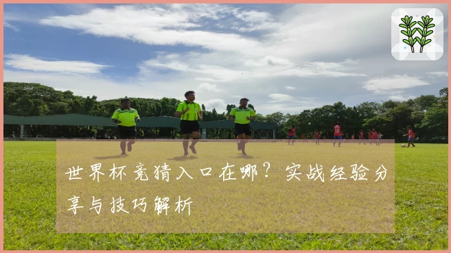 世界杯竞猜入口在哪？实战经验分享与技巧解析